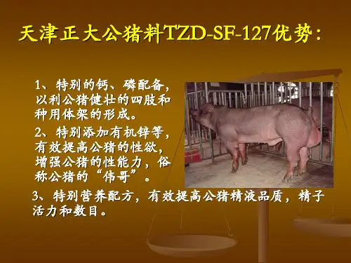 公猪料特点