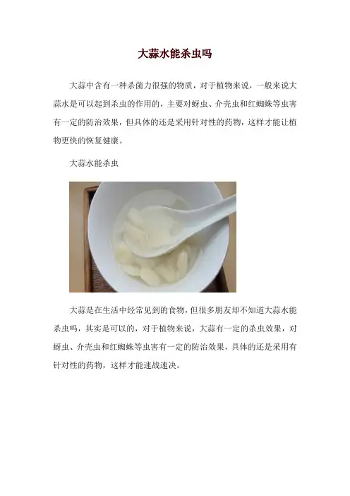 大蒜水能杀虫吗