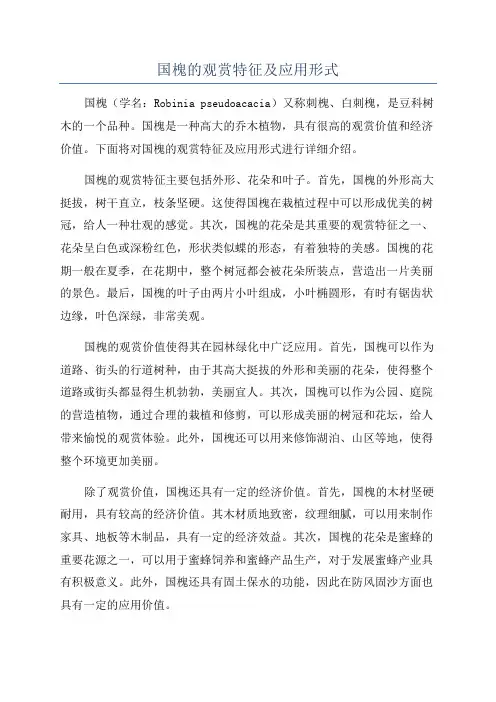 国槐的观赏特征及应用形式