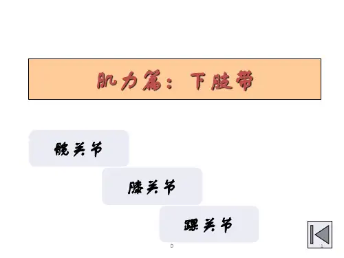 下肢肌力评定