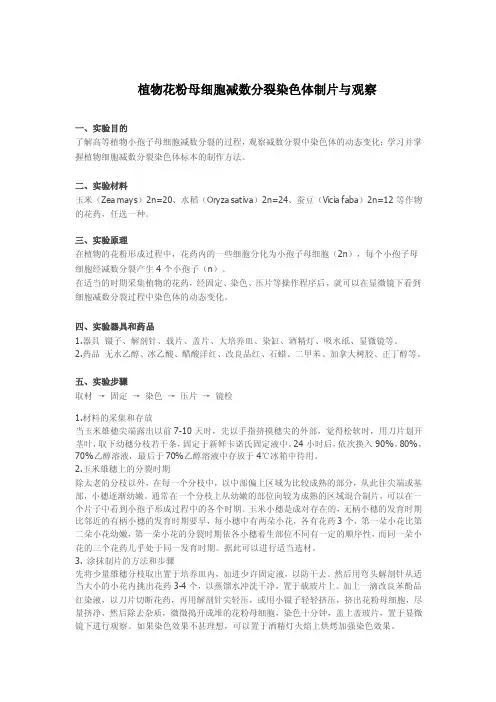 花粉母细胞减数分裂图