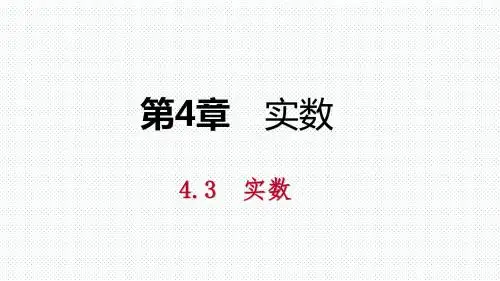 全国通用版八年级数学上册 实数PPT