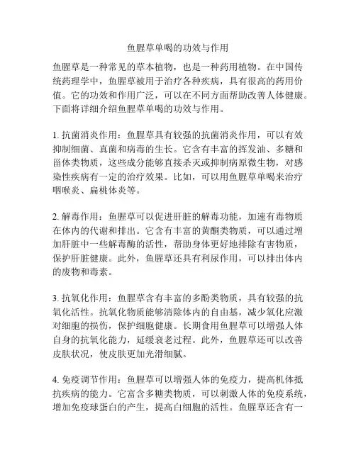 鱼腥草单喝的功效与作用