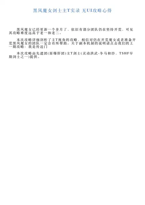 黑风魔女剑士主T实录无UI攻略心得