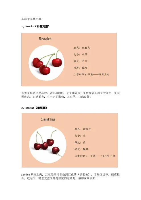 车厘子品种图鉴