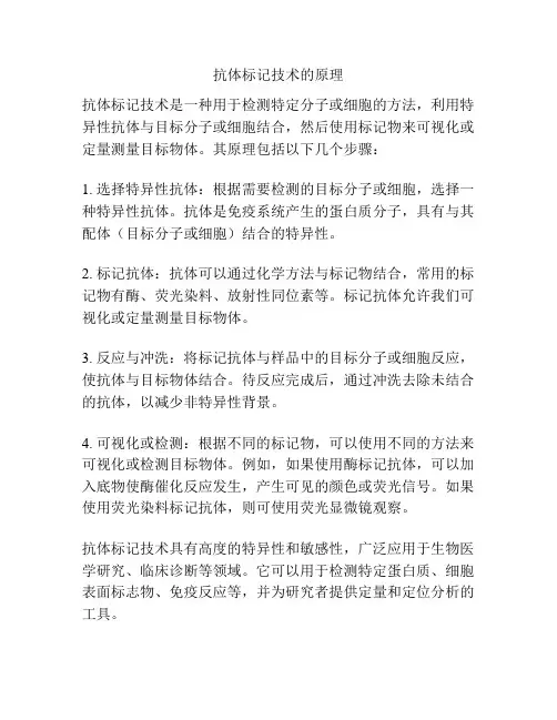 抗体标记技术的原理