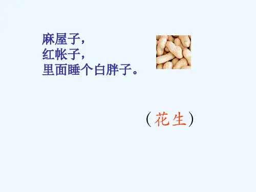 16、小松鼠找花生