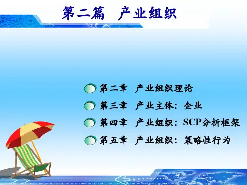 产业组织理论第2章