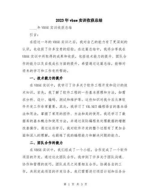 2023年vbse实训收获总结
