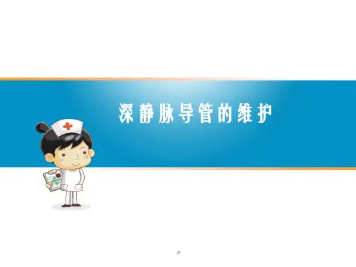 《深静脉导管维护》PPT课件