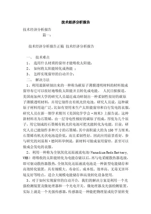 技术经济分析报告
