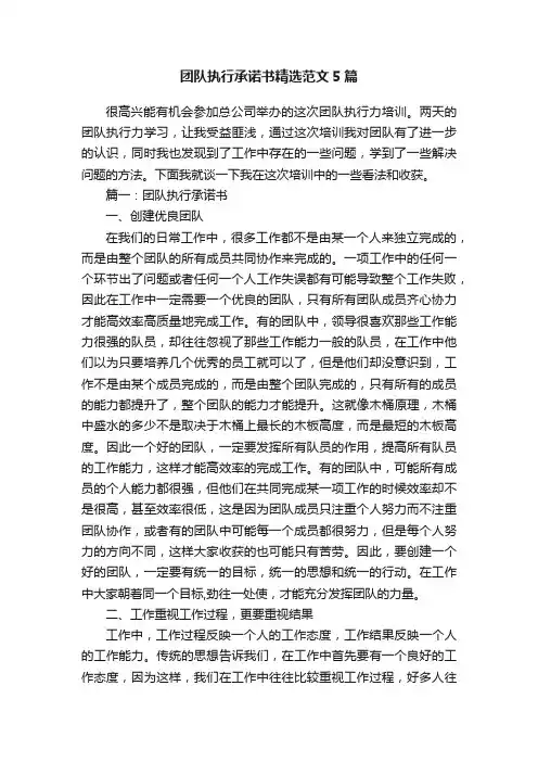 团队执行承诺书精选范文5篇