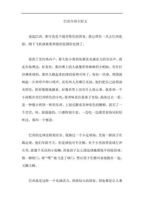 巴西介绍小短文