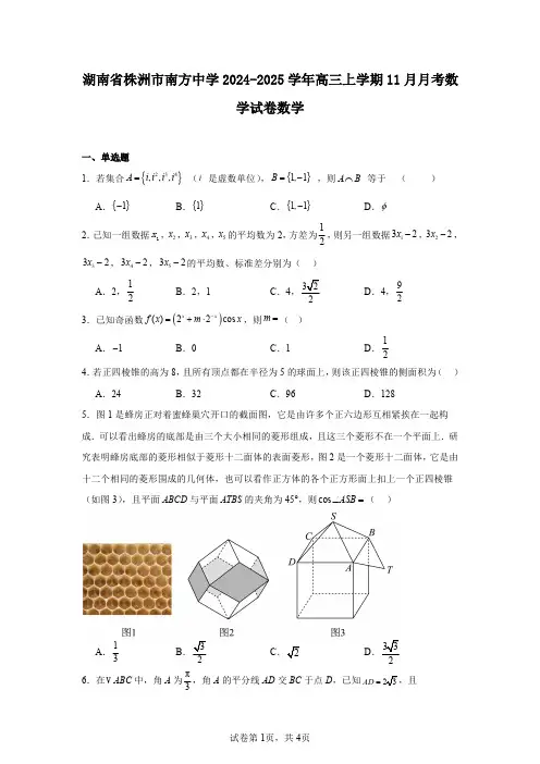 湖南省株洲市南方中学2024-2025学年高三上学期11月月考数学试卷数学