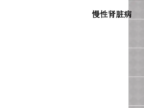 慢性肾脏病