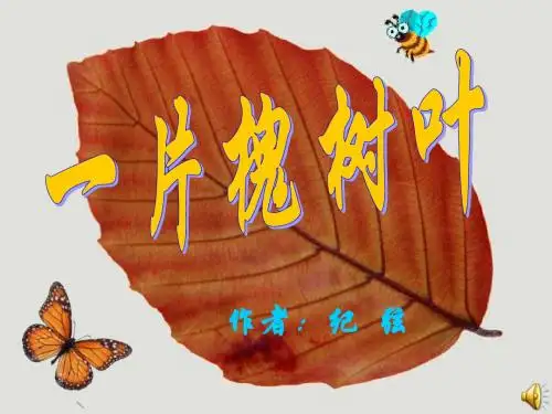 一片槐树叶上课课件