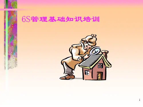 6s基础知识培训ppt