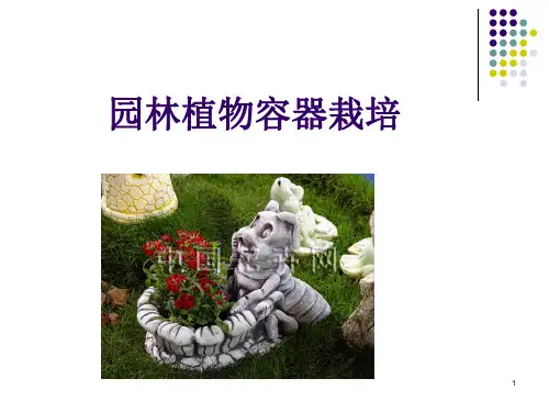 园林植物容器栽培PPT课件