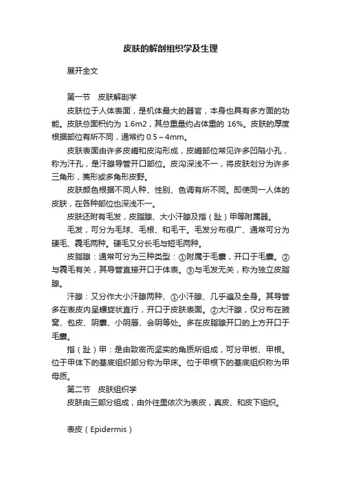 皮肤的解剖组织学及生理
