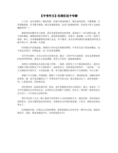 【中考作文】在我们这个年龄