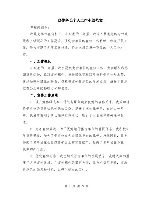 宣传科长个人工作小结范文