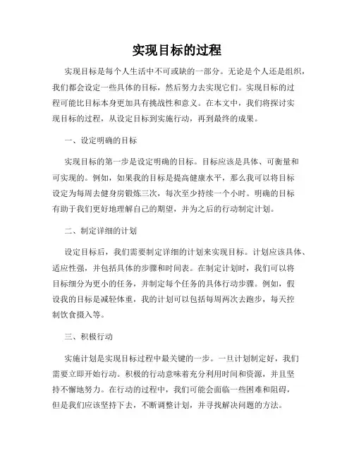 实现目标的过程