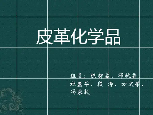 皮革化学品