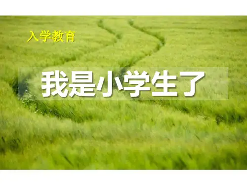 《我是小学生了》PPT-完美版