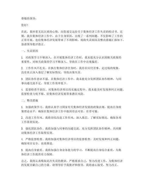 集体经济工作检讨书范文