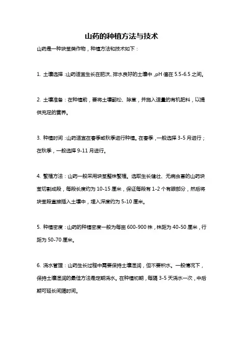 山药的种植方法与技术