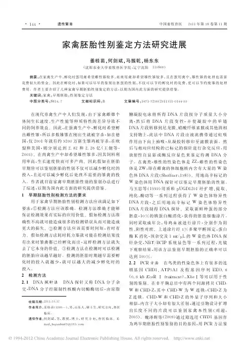 家禽胚胎性别鉴定方法研究进展