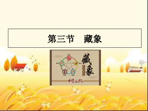 藏象学说--课件
