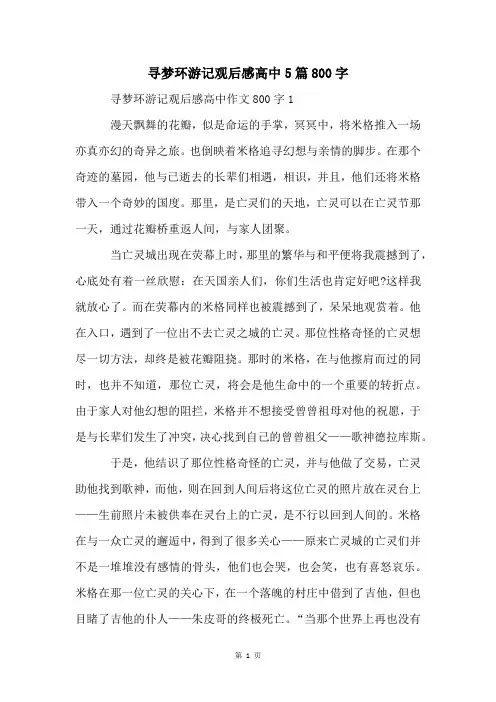 寻梦环游记观后感高中5篇800字