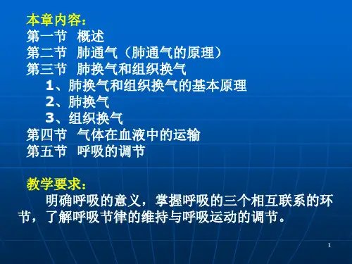 生理学呼吸ppt课件