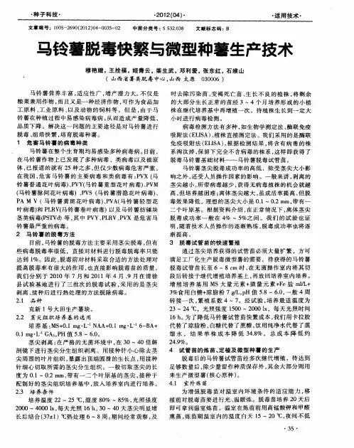马铃薯脱毒快繁与微型种薯生产技术