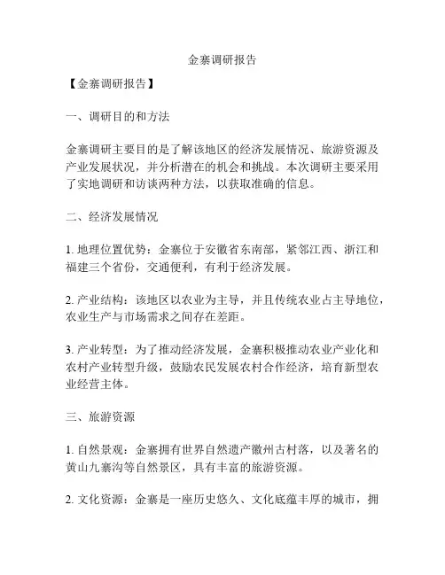 金寨调研报告