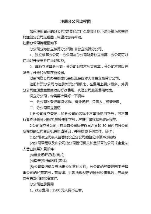注册分公司流程图