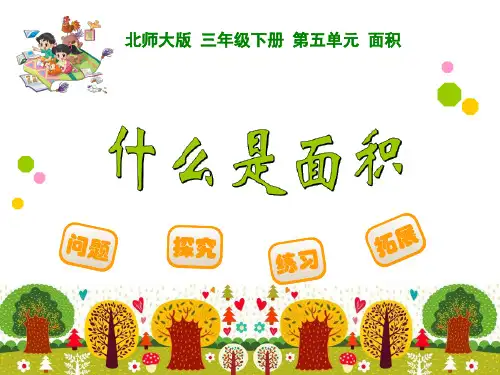 什么是面积(定稿)