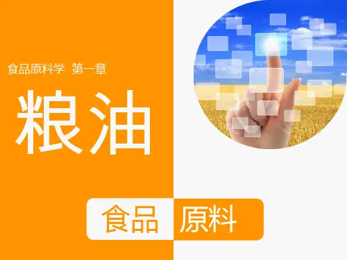 第一章  粮油食品原料-粮油食品原料的籽粒结构与化学成分