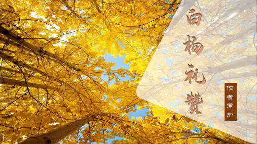 《白杨礼赞》ppt课件