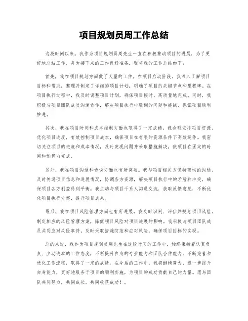 项目规划员周工作总结
