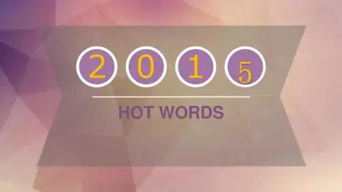 2015年度热词 国际