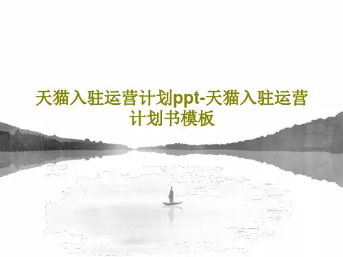 天猫入驻运营计划ppt-天猫入驻运营计划书模板共39页