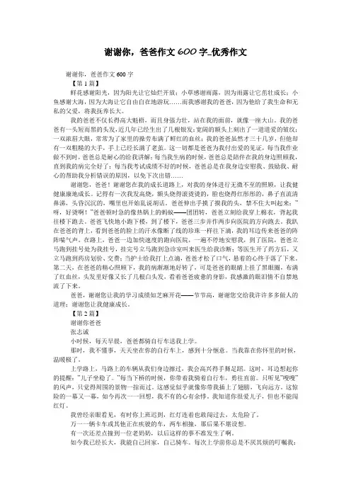 谢谢你,爸爸作文600字_优秀作文