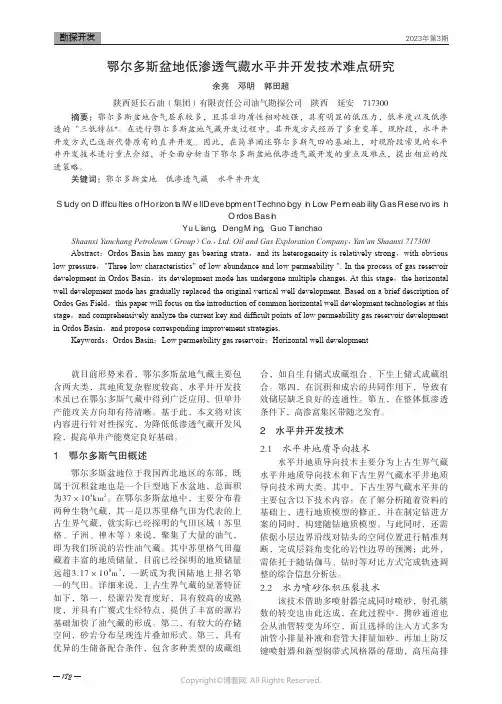 211004392_鄂尔多斯盆地低渗透气藏水平井开发技术难点研究
