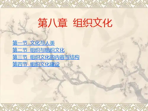 组织行为学----第八章_组织文化