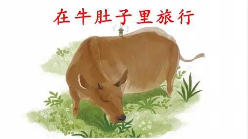 10《在牛肚子里旅行》(课件) 部编版语文三年级上册