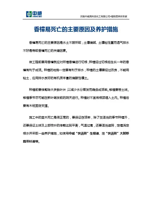香樟易死亡的主要原因及养护措施