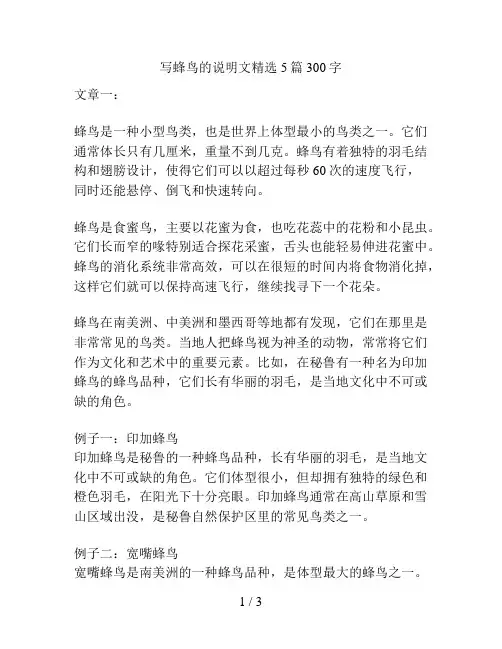 写蜂鸟的说明文精选5篇300字