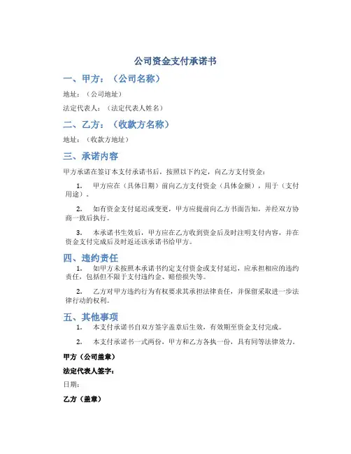 公司资金支付承诺书